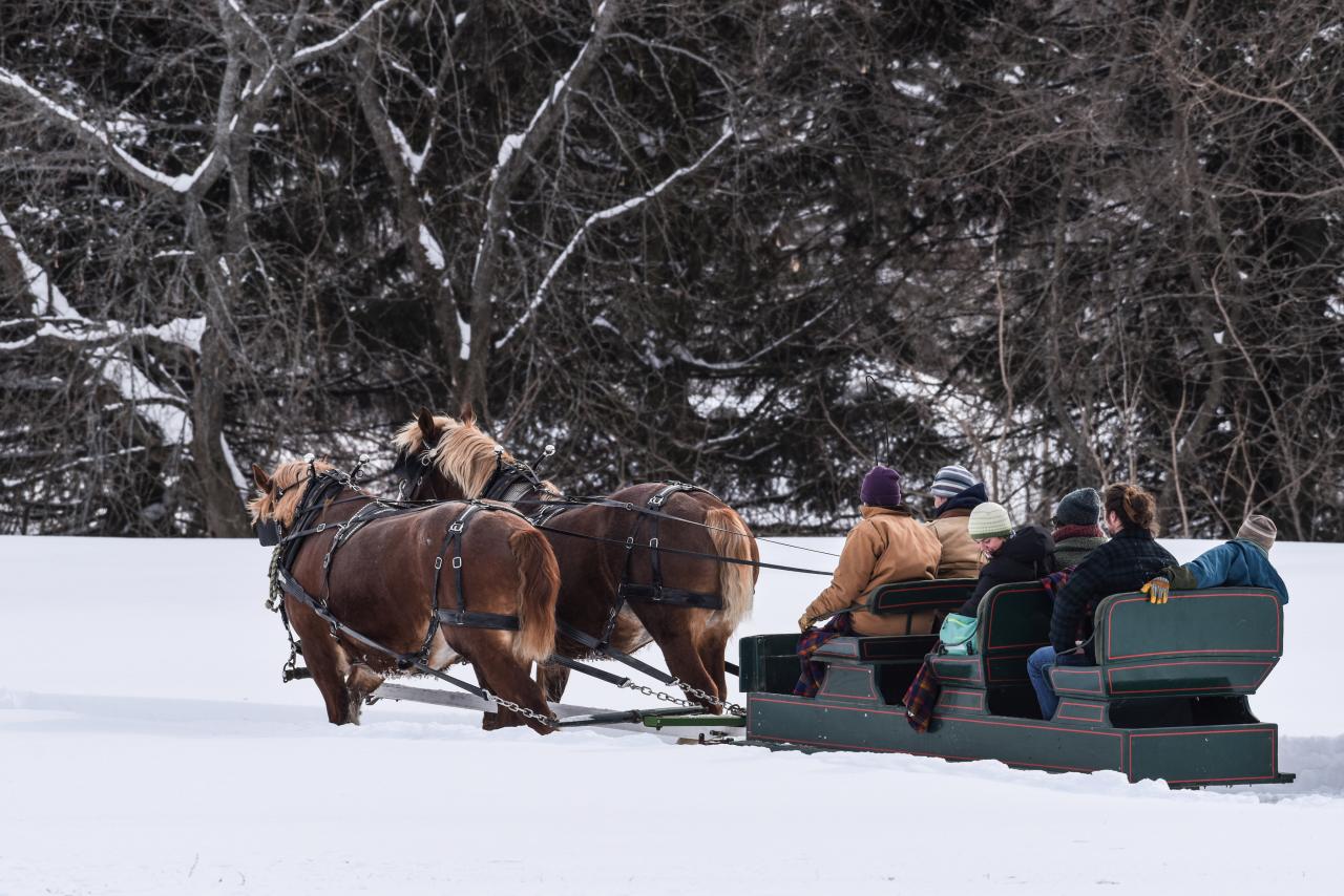 Carriage Ride through Woodstock Woodstock VT Carriage Ride through Woodstock Woodstock VT
